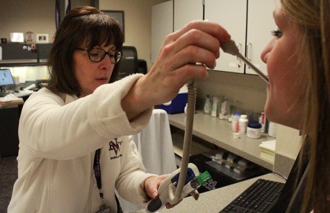 The rise of the influenza virus