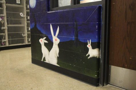 Meaningful murals