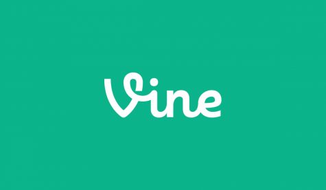 How well do you know old Vines?